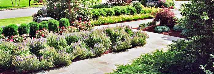 Landscaping Architechs Long Island, Nassau County, Suffolk County New York